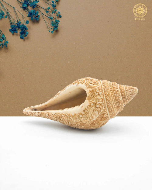 Shankh
